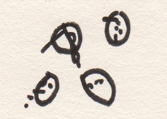 VERITY J GAVIN - PROP CRÉATIVES